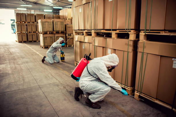 Best Affordable Pest Control Services  in Red Bay, AL