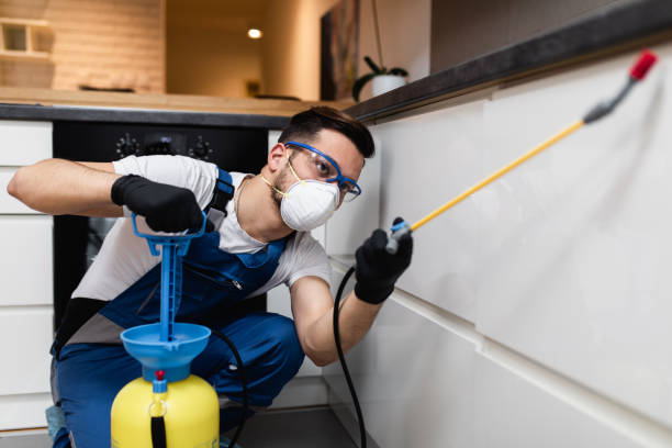 Best Affordable Pest Control Services  in Red Bay, AL