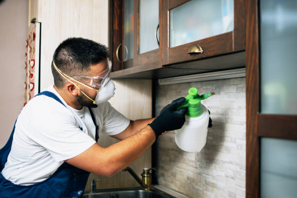 Best Rat Extermination Near Me  in Red Bay, AL