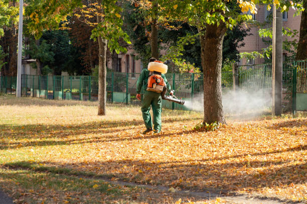 Best Commercial Pest Control Services  in Red Bay, AL