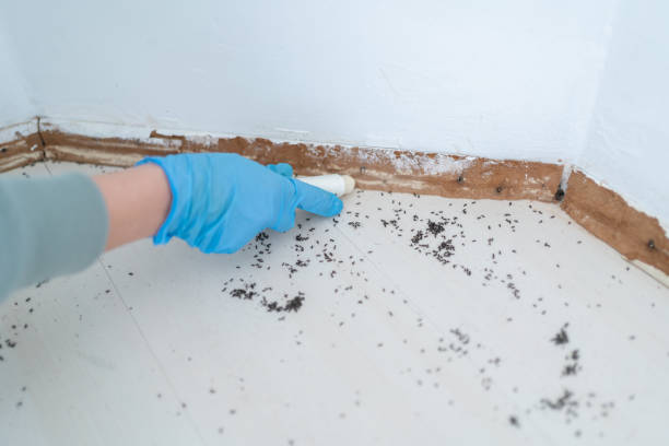 Best Pest Prevention Services  in Red Bay, AL