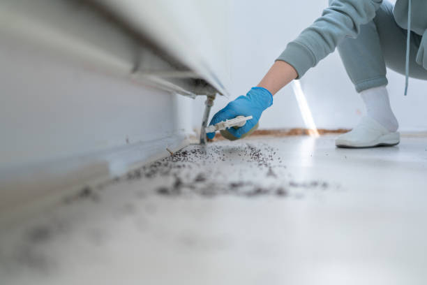 Best Mosquito Control Services  in Red Bay, AL