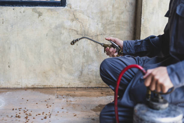 Best Residential Pest Control  in Red Bay, AL