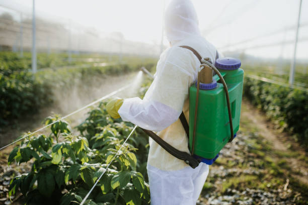 Best Flea Control Services  in Red Bay, AL
